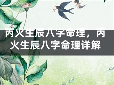 丙火生辰八字命理，丙火生辰八字命理详解