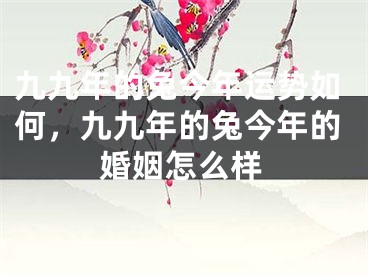 九九年的兔今年运势如何，九九年的兔今年的婚姻怎么样