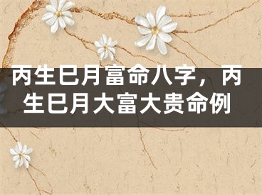 丙生巳月富命八字，丙生巳月大富大贵命例