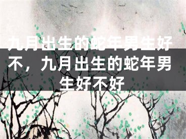 九月出生的蛇年男生好不，九月出生的蛇年男生好不好
