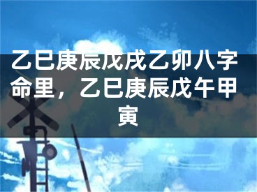 乙巳庚辰戊戌乙卯八字命里，乙巳庚辰戊午甲寅