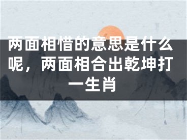 两面相惜的意思是什么呢，两面相合出乾坤打一生肖