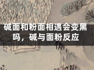 碱面和粉面相遇会变黑吗，碱与面粉反应