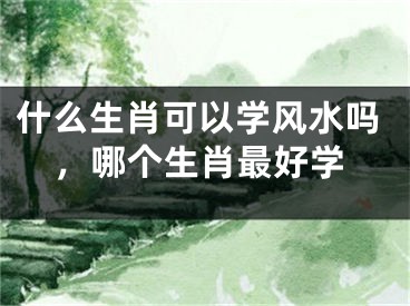 什么生肖可以学风水吗,哪个生肖最好学
