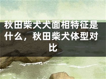 秋田柴犬犬面相特征是什么，秋田柴犬体型对比