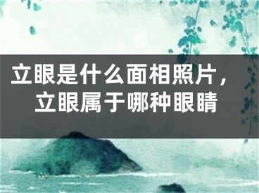立眼是什么面相照片，立眼属于哪种眼睛