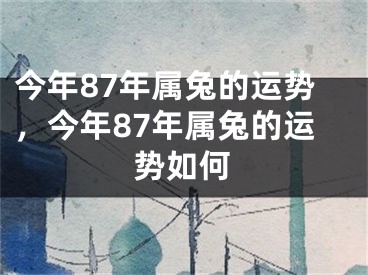 今年87年属兔的运势，今年87年属兔的运势如何