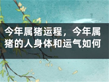 今年属猪运程，今年属猪的人身体和运气如何