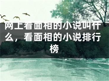 网上看面相的小说叫什么，看面相的小说排行榜