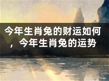 今年生肖兔的财运如何，今年生肖兔的运势