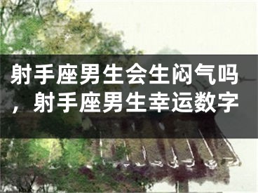 射手座男生会生闷气吗,射手座男生幸运数字
