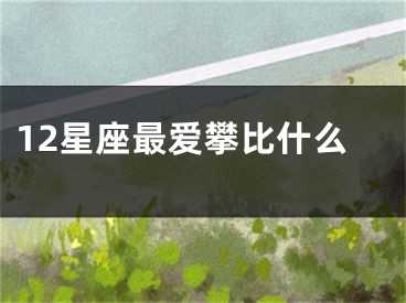 12星座最爱攀比什么