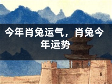 今年肖兔运气，肖兔今年运势
