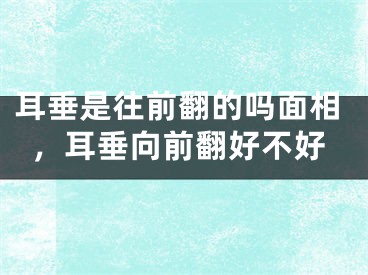 耳垂是往前翻的吗面相，耳垂向前翻好不好