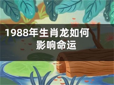 1988年生肖龙如何影响命运