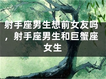 射手座男生想前女友吗,射手座男生和巨蟹座女生