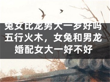 兔女比龙男大一岁好吗五行火木，女兔和男龙婚配女大一好不好