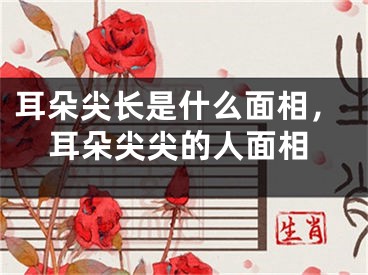 耳朵尖长是什么面相，耳朵尖尖的人面相