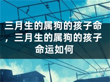 三月生的属狗的孩子命,三月生的属狗的孩子命运如何