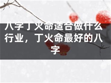 八字丁火命适合做什么行业，丁火命最好的八字