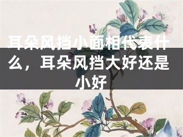 耳朵风挡小面相代表什么，耳朵风挡大好还是小好