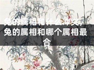 兔的属相和什么冲突，兔的属相和哪个属相最合
