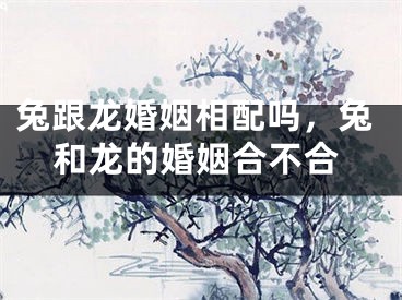 兔跟龙婚姻相配吗，兔和龙的婚姻合不合
