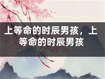 上等命的时辰男孩,上等命的时辰男孩