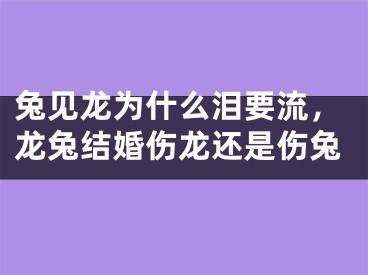 兔见龙为什么泪要流，龙兔结婚伤龙还是伤兔