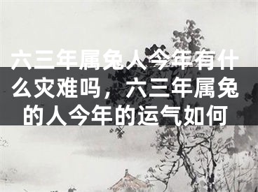 六三年属兔人今年有什么灾难吗，六三年属兔的人今年的运气如何