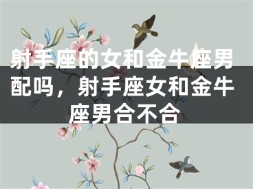射手座的女和金牛座男配吗,射手座女和金牛座男合不合