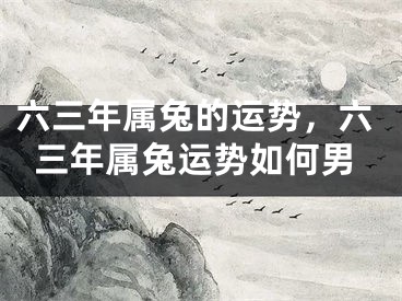 六三年属兔的运势,六三年属兔运势如何男
