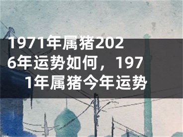 1971年属猪2026年运势如何,1971年属猪今年运势