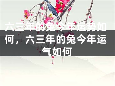 六三年的兔今年运势如何，六三年的兔今年运气如何