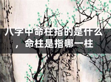 八字中命柱指的是什么，命柱是指哪一柱