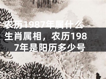 农历1987年属什么生肖属相，农历1987年是阳历多少号