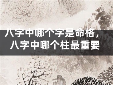 八字中哪个字是命格,八字中哪个柱最重要