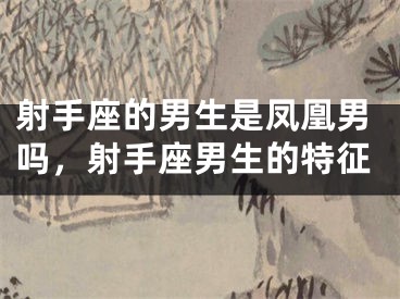 射手座的男生是凤凰男吗,射手座男生的特征