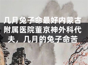 几月兔子命最好内蒙古附属医院董京神外科代夫，几月的兔子命苦