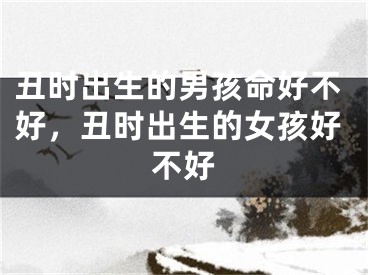 丑时出生的男孩命好不好,丑时出生的女孩好不好