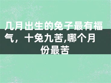 几月出生的兔子最有福气，十兔九苦,哪个月份最苦