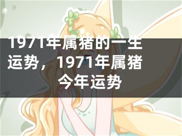 1971年属猪的一生运势,1971年属猪今年运势
