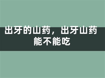 出牙的山药，出牙山药能不能吃