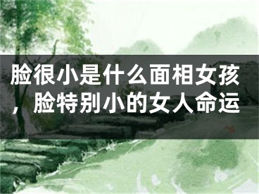 脸很小是什么面相女孩，脸特别小的女人命运