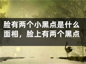 脸有两个小黑点是什么面相，脸上有两个黑点