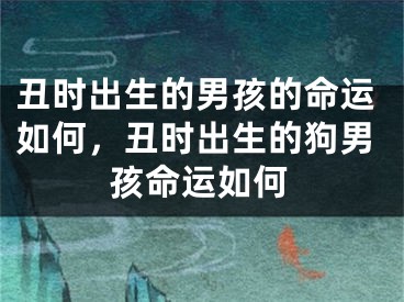 丑时出生的男孩的命运如何,丑时出生的狗男孩命运如何