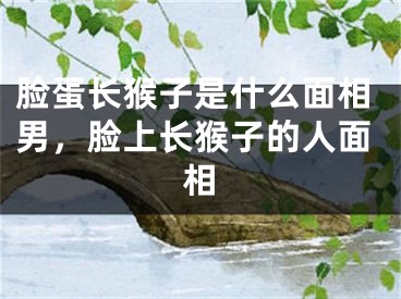 脸蛋长猴子是什么面相男，脸上长猴子的人面相