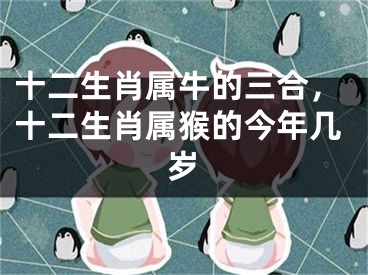 十二生肖属牛的三合，十二生肖属猴的今年几岁