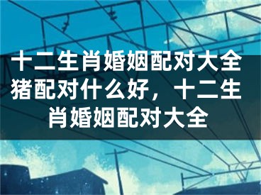 十二生肖婚姻配对大全猪配对什么好，十二生肖婚姻配对大全