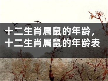 十二生肖属鼠的年龄,十二生肖属鼠的年龄表